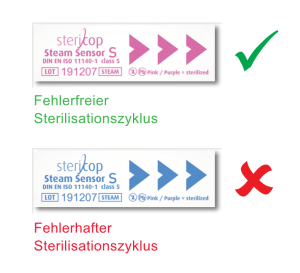Auswertung des SteamSensor S